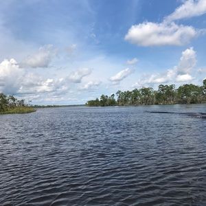 Meet your Posher, Blake